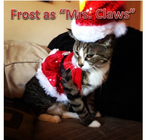 frost as mrs. claws